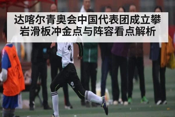 达喀尔青奥会中国代表团成立攀岩滑板冲金点与阵容看点解析(kaiyun)